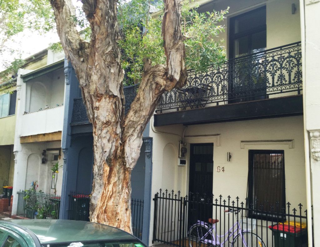 64 Ivy Street, Darlington, NSW 2008