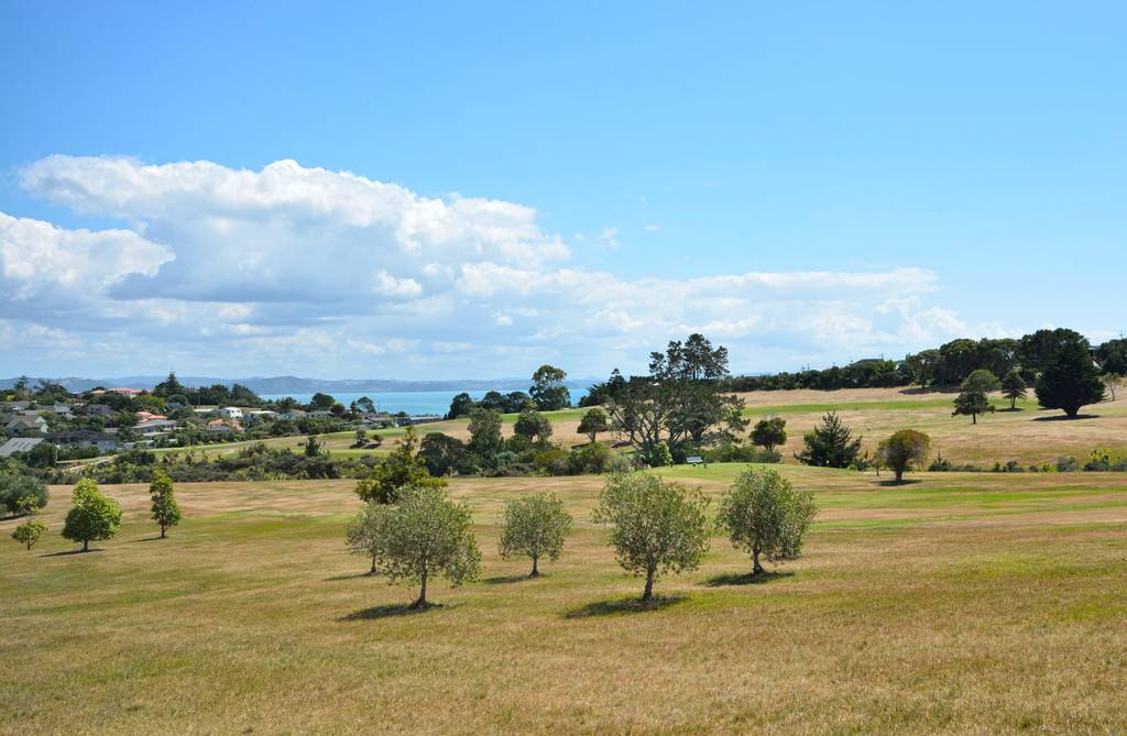 29 Alverna Heights, Gulf Harbour, Rodney Real Estate Ray White New