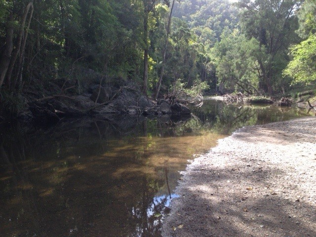 2186 Amamoor Creek Road, Amamoor, QLD 4570