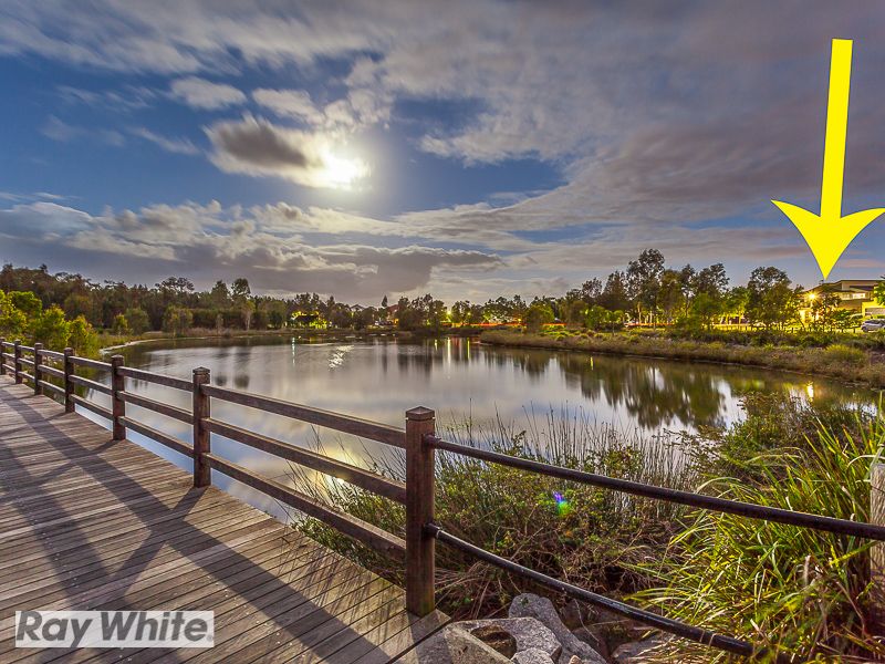 16 Lacebark Street, NORTH LAKES, QLD 4509