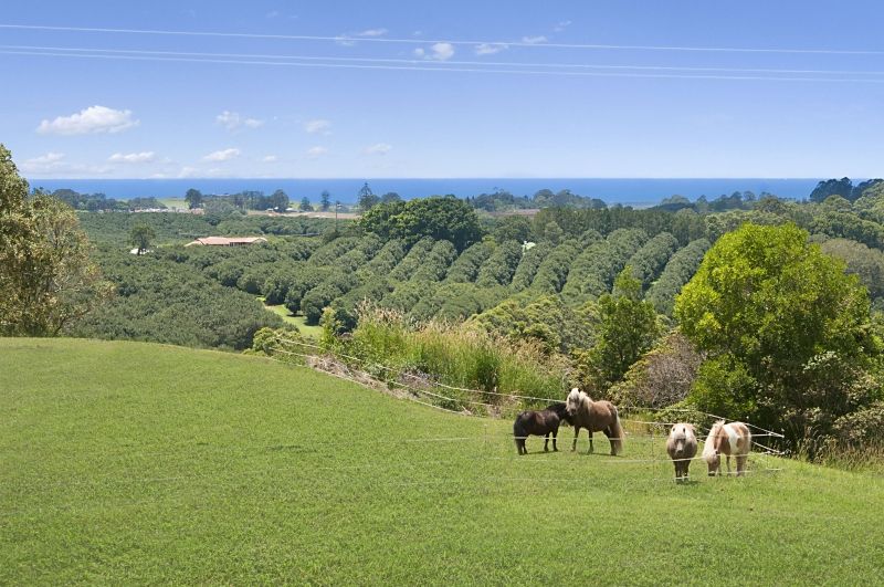 929 Fernleigh Road, BROOKLET NSW 2479