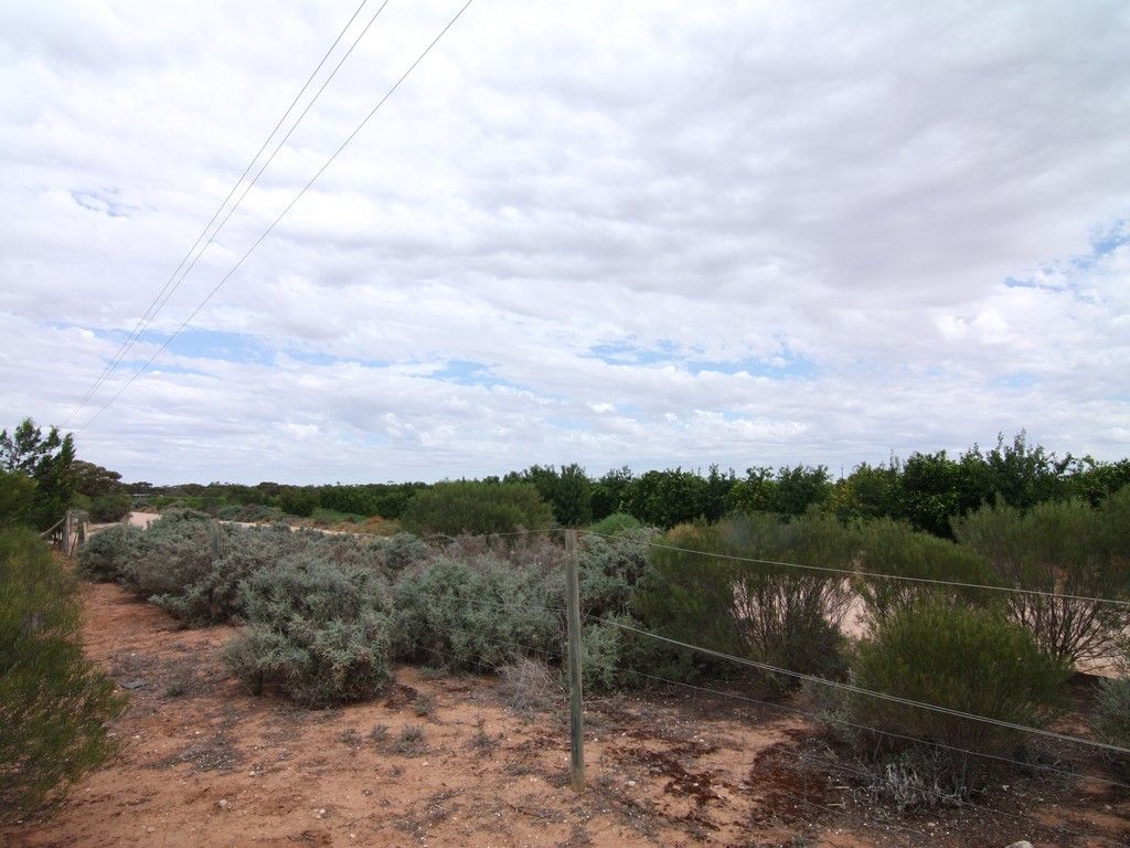 Lot 20 Rawnsley Road, Loveday, SA 5345