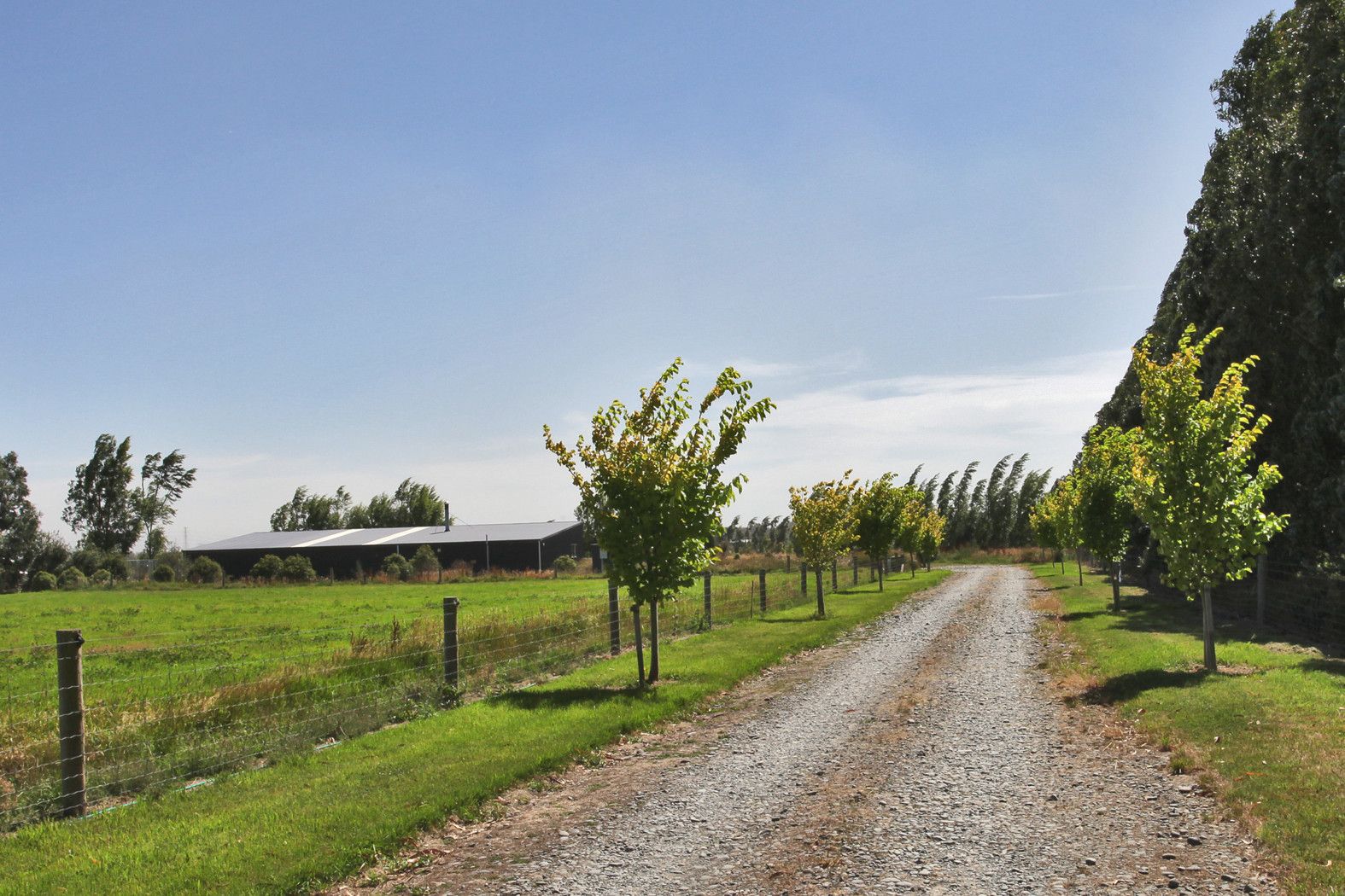51 Settlement Road, Lincoln, Selwyn District