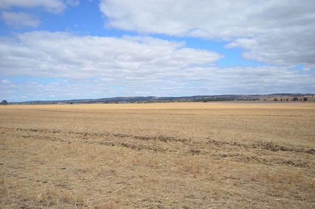 Tarnma Road, Marrabel, SA 5413