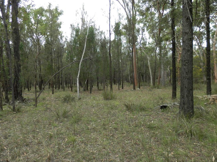Lot 11 Kesshans Road, Goranba, QLD 4421