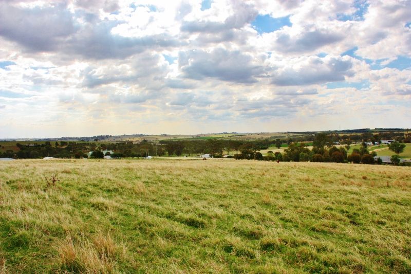 Lot 16 Golden Grove Road, YOUNG, NSW 2594