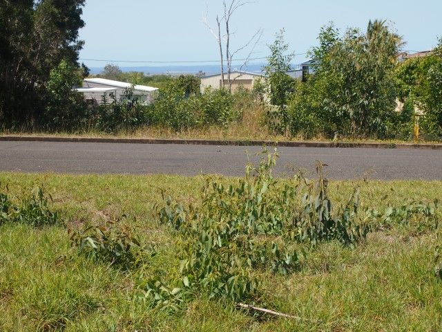 61 Petrel Avenue, RIVER HEADS, QLD 4655