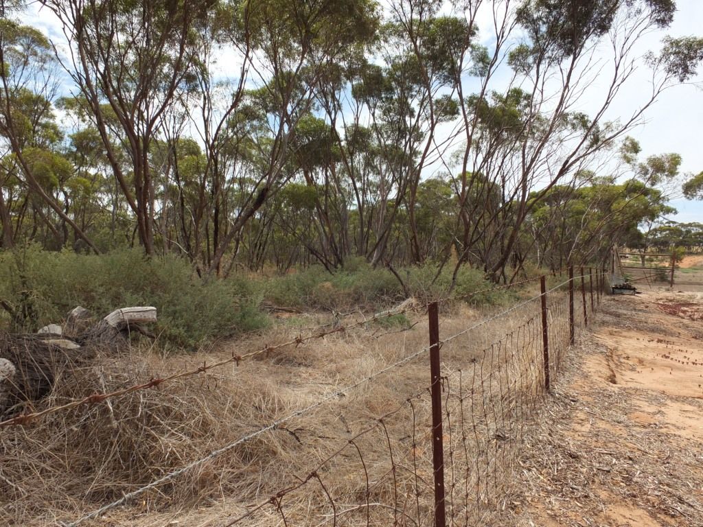 Lot 89 West Avenue, Alford, SA 5555