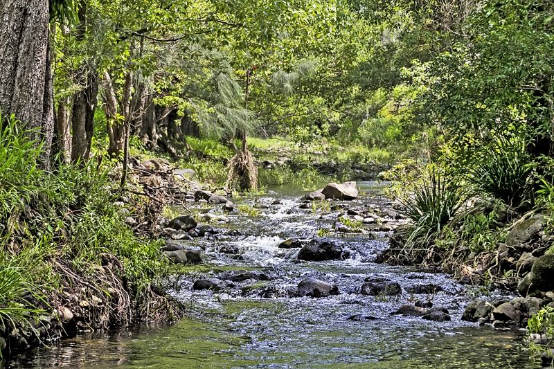 492 Brays Creek Road, Tyalgum, NSW 2484 Sold Rural Property Ray