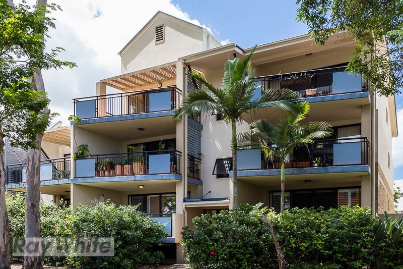 3/55 Harries Road, Coorparoo QLD 4151
