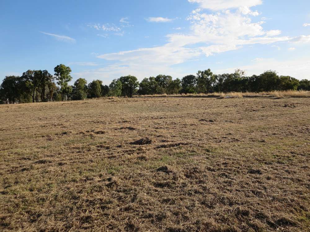 38 Hoffman Road, THURGOONA, NSW 2640