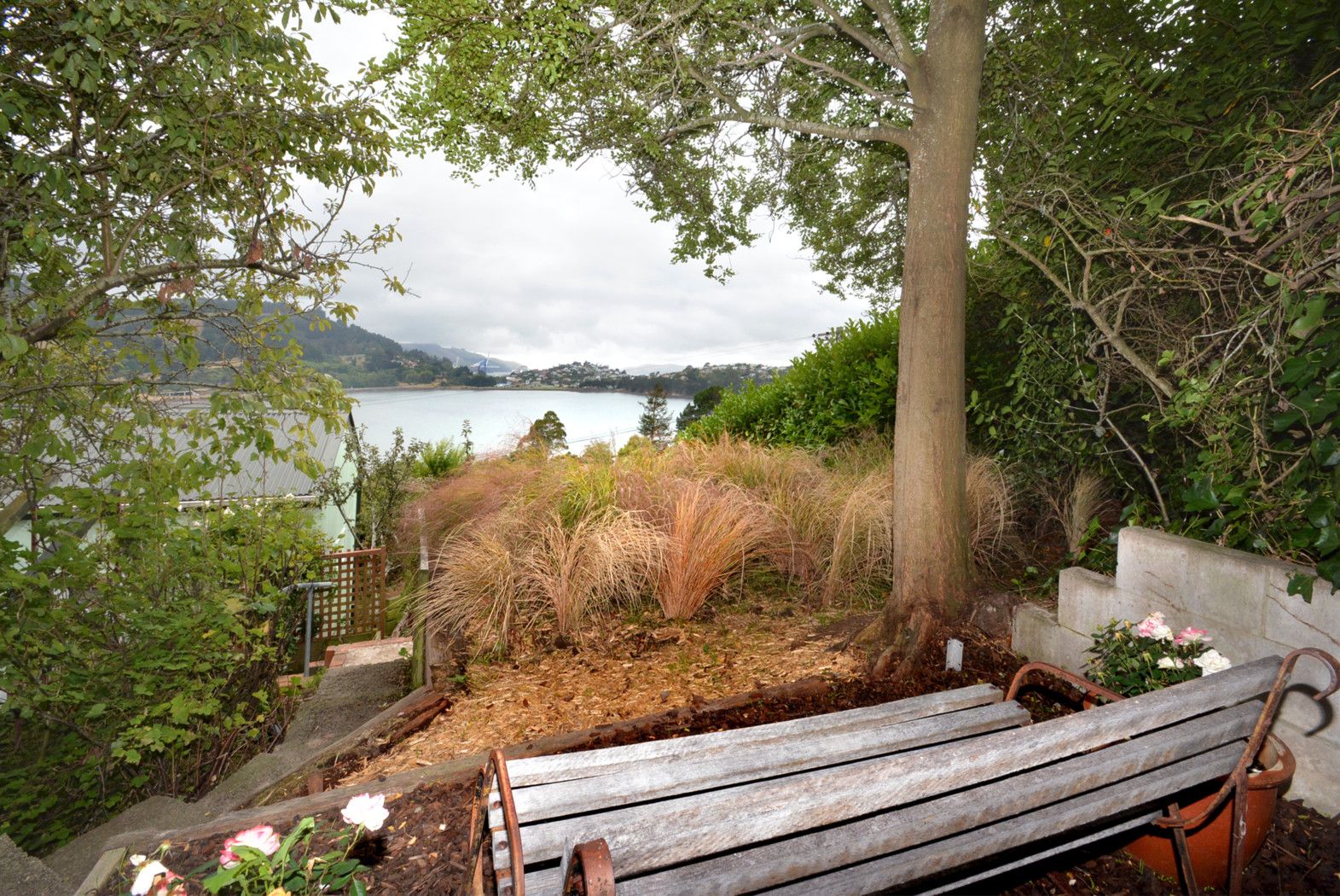 22 Shandon Street, Roseneath, Dunedin City 9023 Sold House Ray