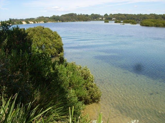 85 Sunpatch Parade, Tomakin, NSW 2537