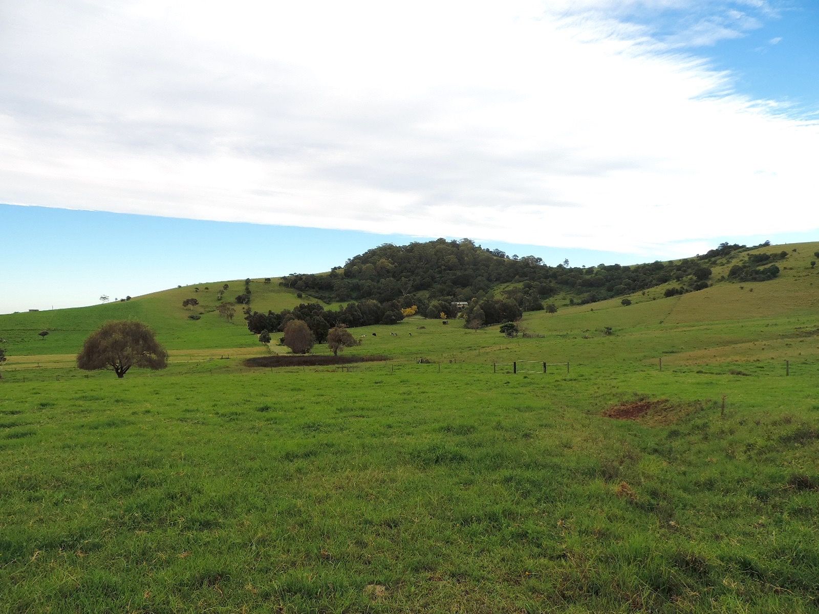 Lot 4 Toolijooa Road, Toolijooa, NSW 2534