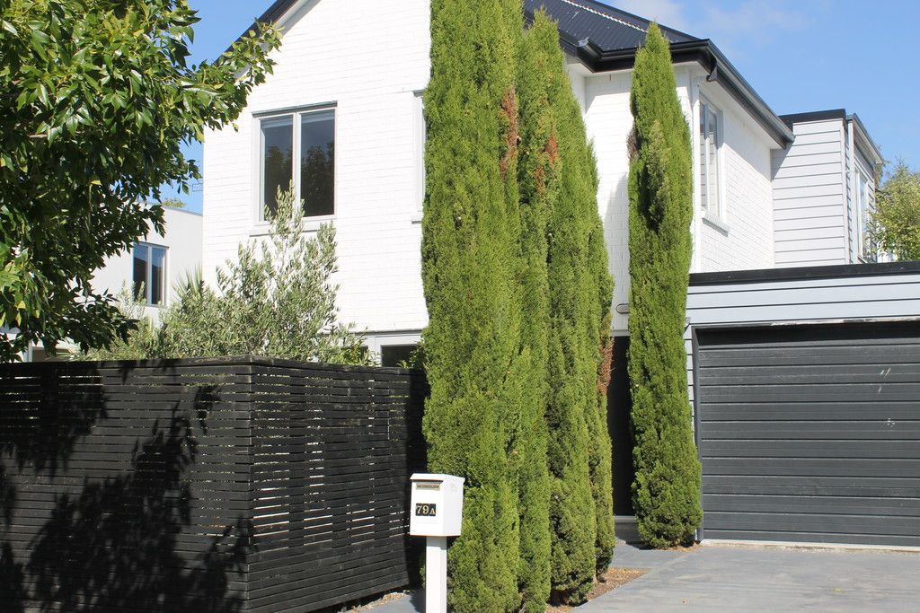 79a Bishop Street, St Albans, Christchurch City