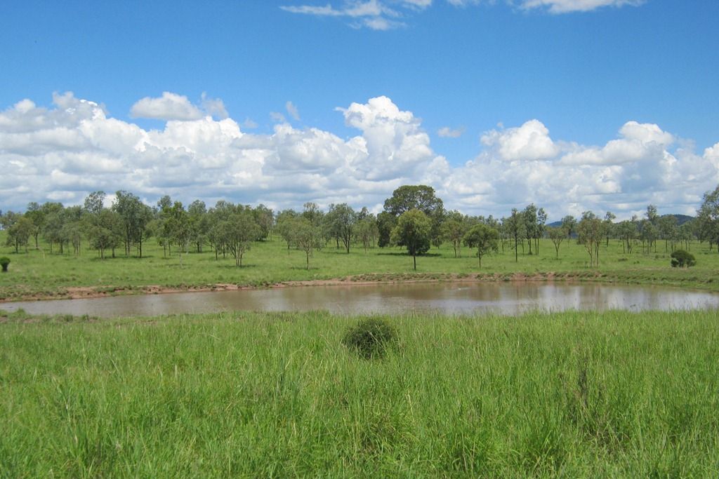 Theodore, QLD Rural Rural Livestock Property Sold
