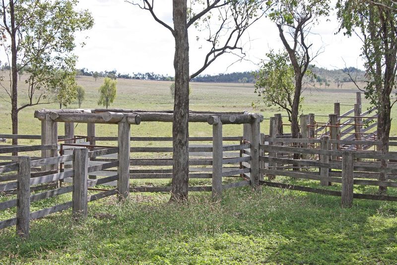 Theodore, QLD Rural Rural Livestock Property Sold