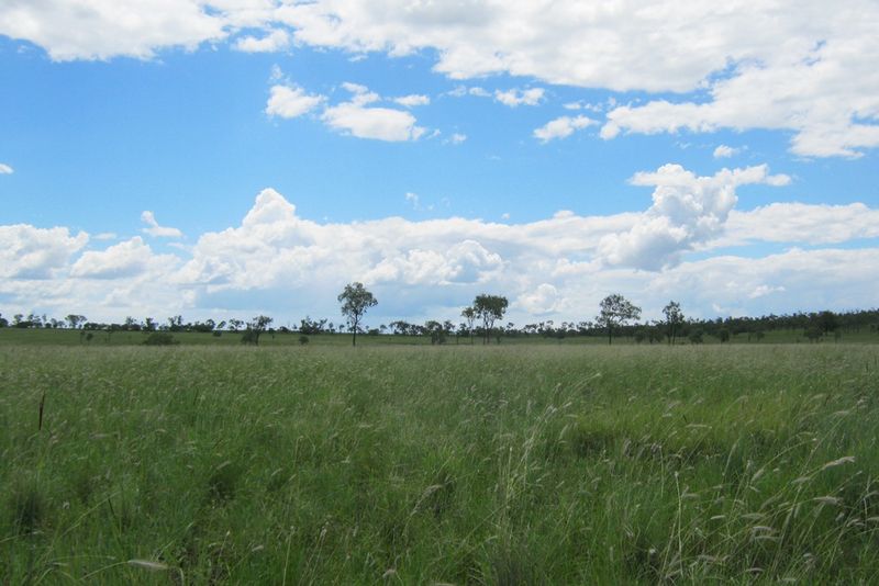 Theodore, QLD Rural Rural Livestock Property Sold