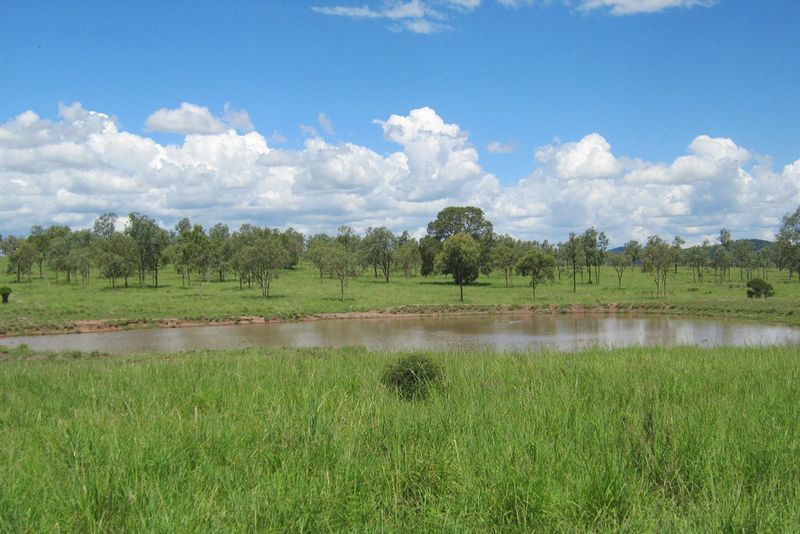 Theodore, QLD Rural Rural Livestock Property Sold