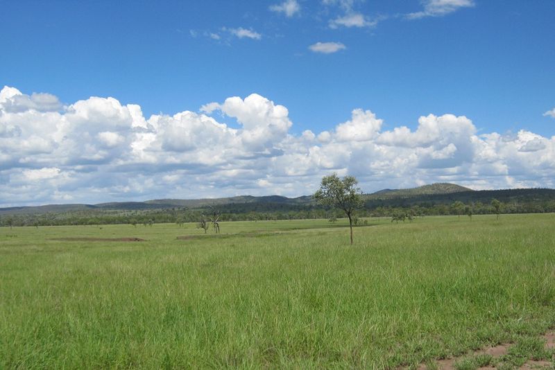 Theodore, QLD Rural Rural Livestock Property Sold