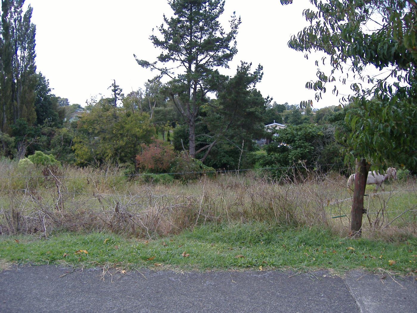 71 Lyon Street, Kihikihi, Waipa District