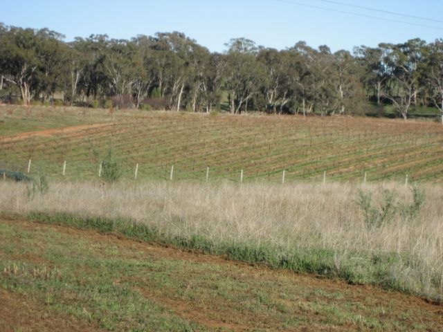 878 Boundary Road, Young, NSW 2594