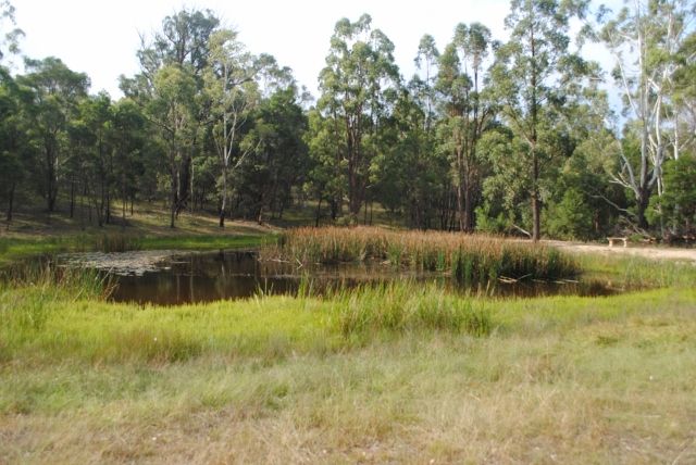Bungonia, NSW 2580