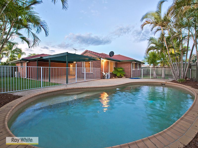 8 Nautilus Court, NEWPORT, QLD 4020
