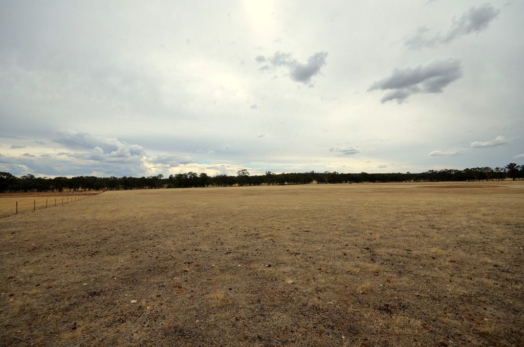 CA 3B Bealiba - Wehla Road, COCHRANES CREEK, VIC 3475