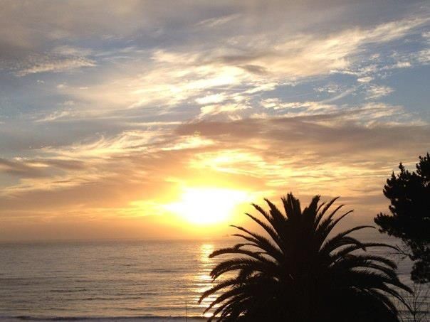 519 Lawrence Hargrave Drive, Wombarra, NSW 2515