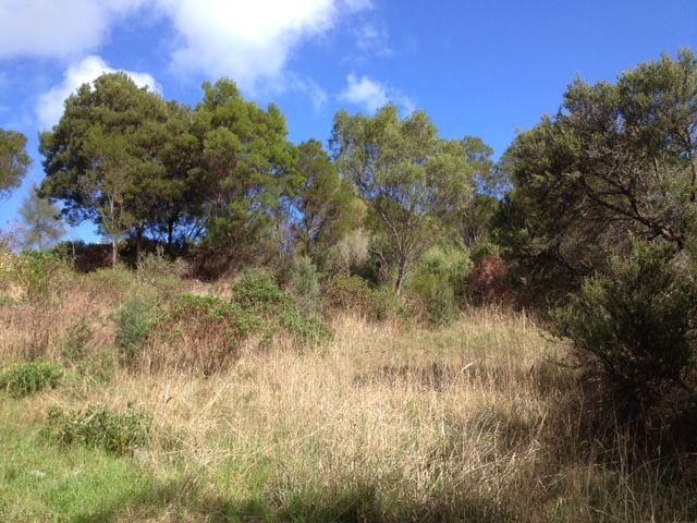 2 Tralee Lane, FINGAL, VIC 3939