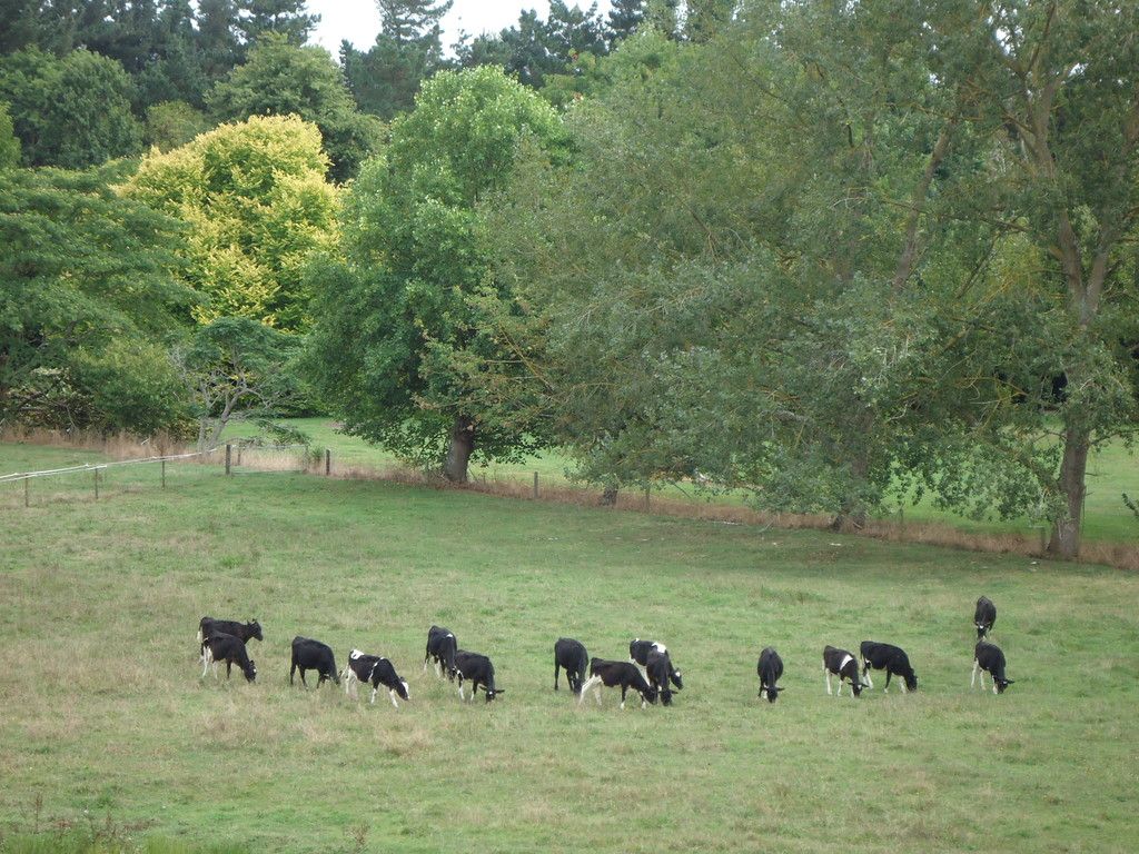 1753 Kakaramea Road, Ngahinapouri, Waipa District