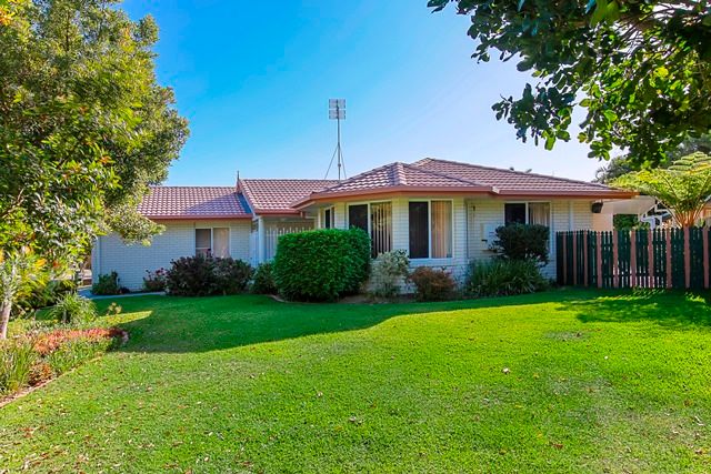 31 Satinwood Place, Mountain Creek QLD 4557