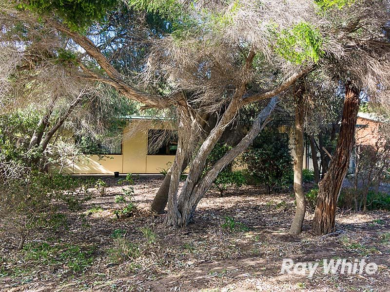 12 Shipway Street, Goolwa Beach, SA 5214