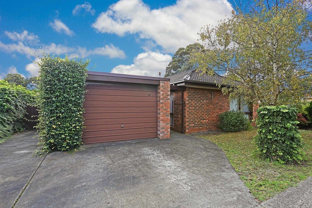 28 Walpole Avenue, Belmont, VIC 3216