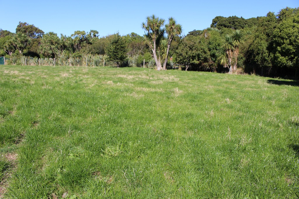 6 Korimako Avenue, Otatara, Invercargill