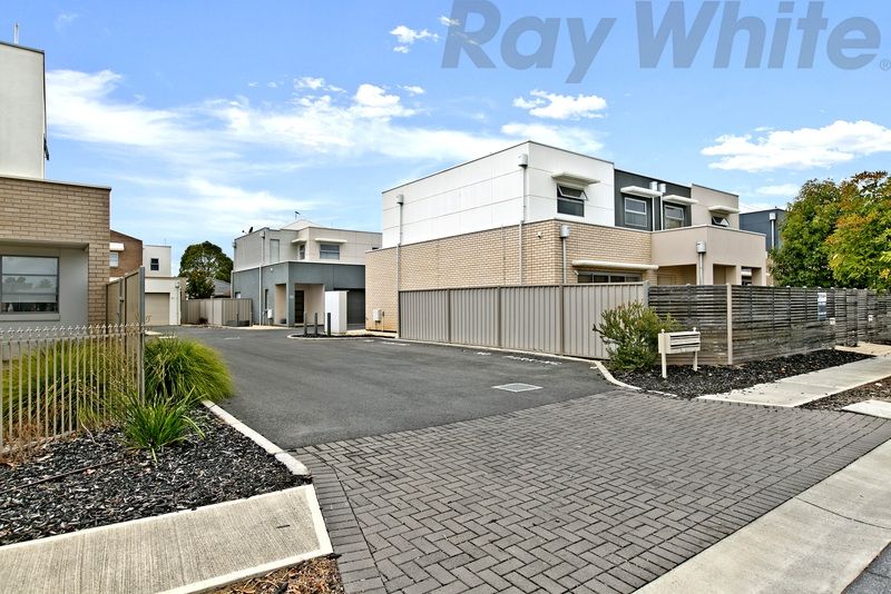 19 Byrness Avenue, Devon Park, SA 5008