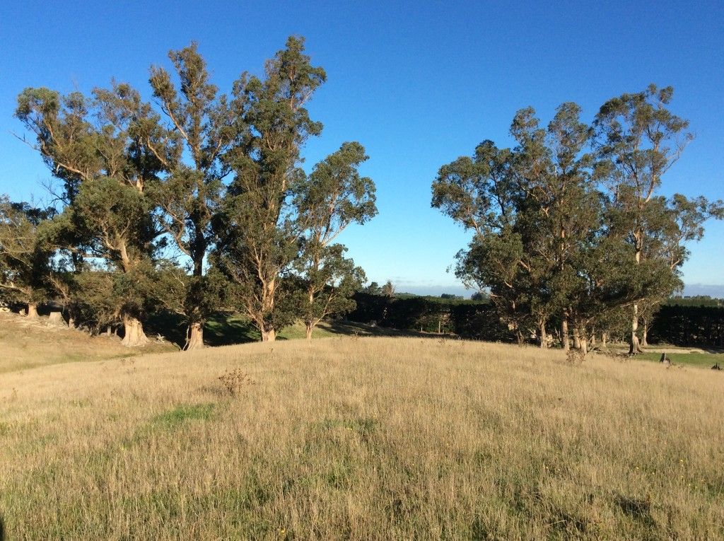 152 Stonyflat Road, Loburn, Waimakariri District