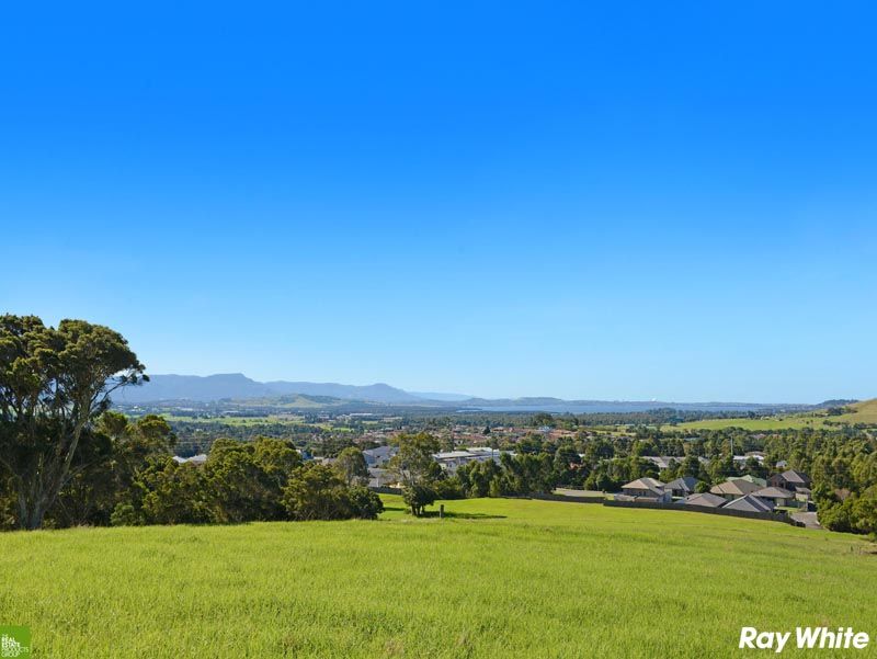 170 Daintree Drive, Albion Park, NSW 2527