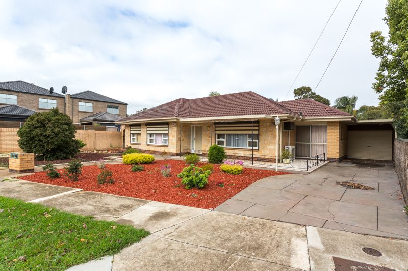 16 Parukala Street, Flinders Park, SA 5025