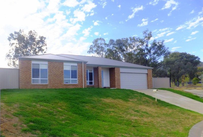 17 Chafia Place, Springdale Heights, NSW 2641