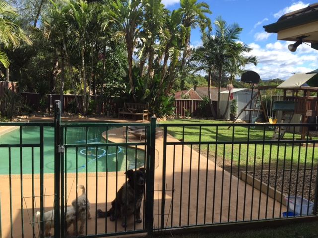 6 Ravine Close, Cranebrook, NSW 2749