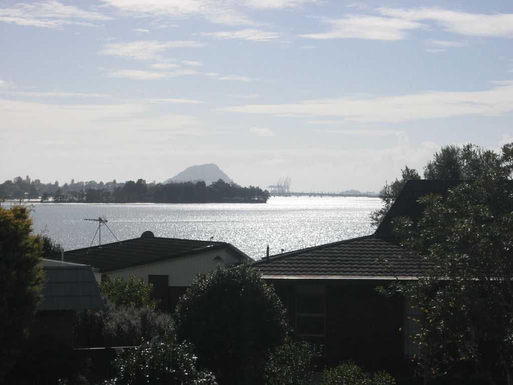 6 Moiri Place, Maungatapu, Tauranga City