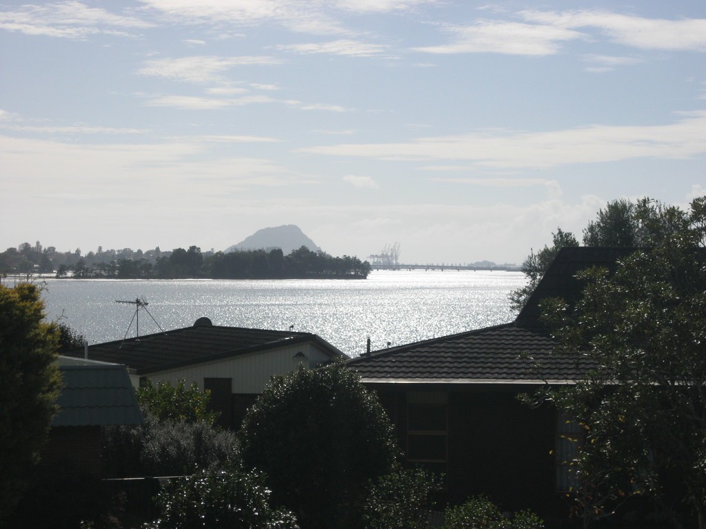 6 Moiri Place, Maungatapu, Tauranga City