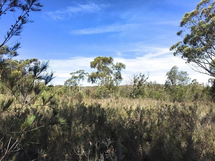 92 Mulwaree Drive, Tallong, NSW 2579