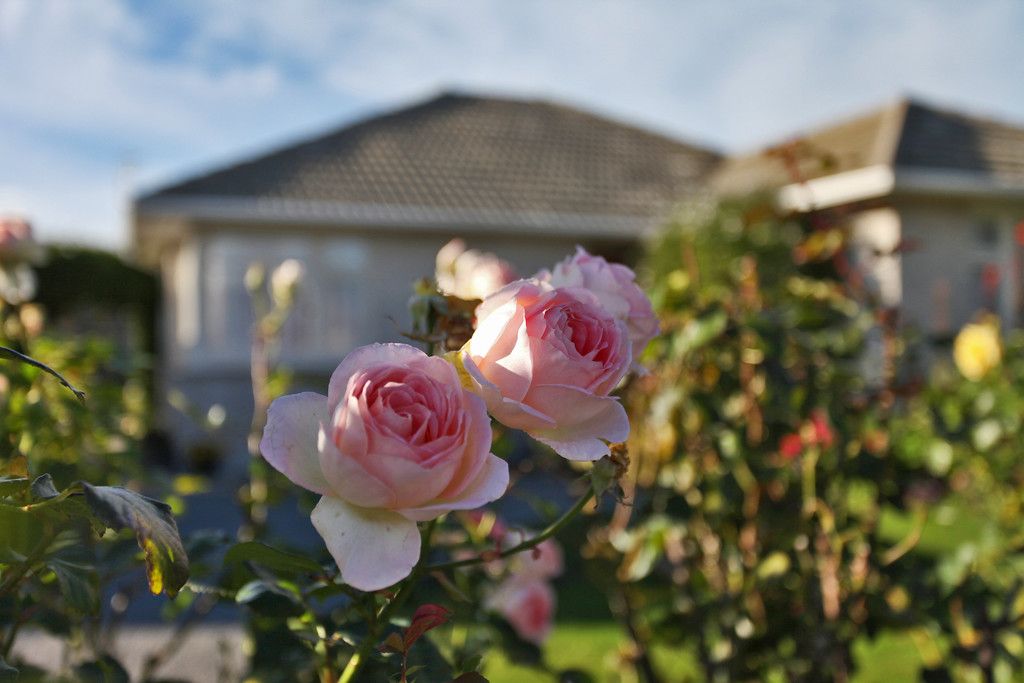 433 Ferry Road, Woolston, Christchurch City