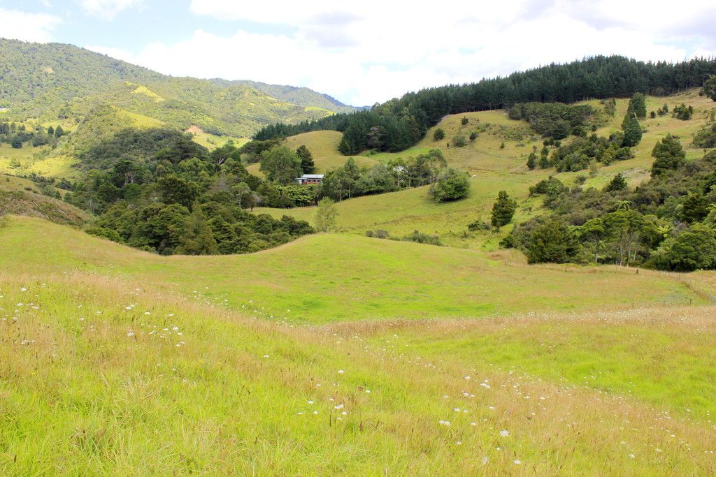 139 Warner Road, Takahue, Far North District