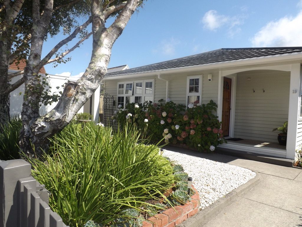 19 Patrick Street, Petone, Lower Hutt City
