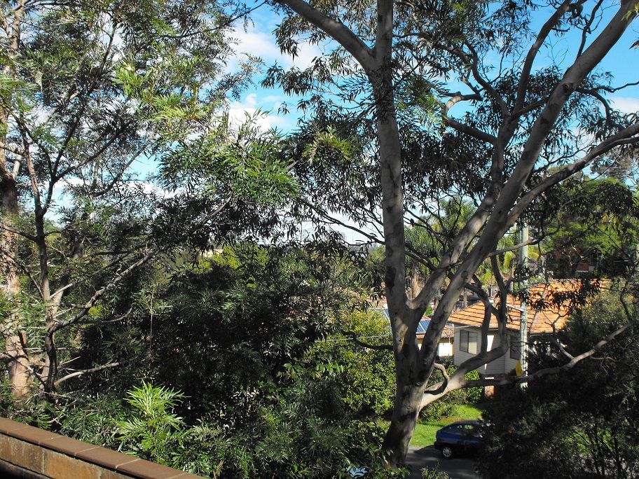 5/84 Station Street, WEST RYDE, NSW 2114