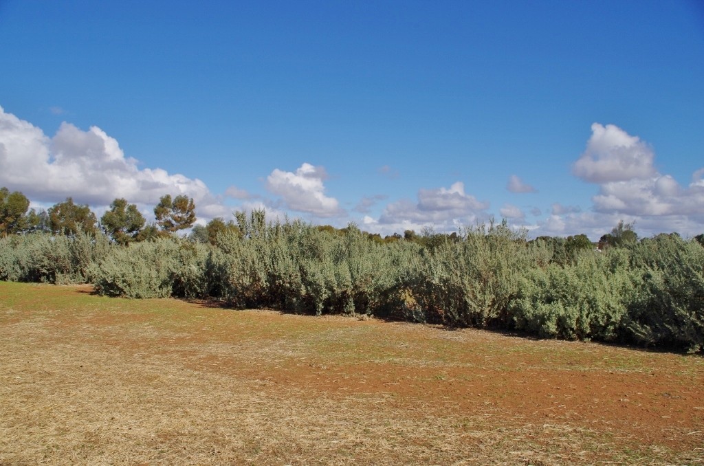34 Kite Street, Renmark, SA 5341